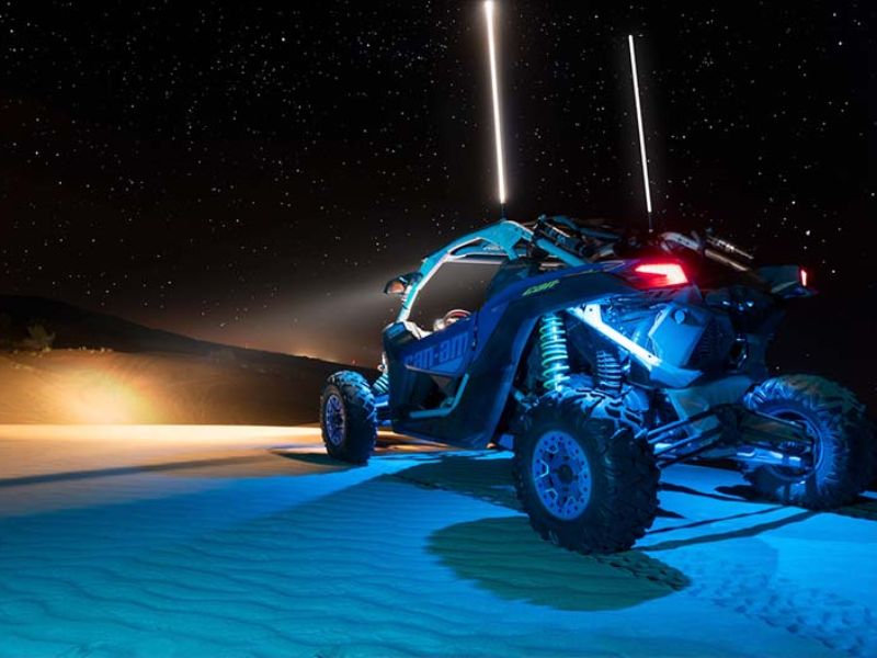 Night Buggy Tour